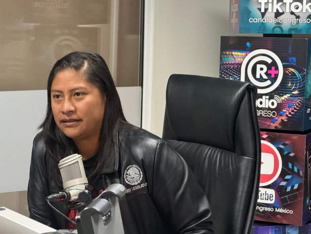 La Senadora Reyna Celeste Ascencio Ortega llama a fortalecer el Plan Michoacán con participación ciudadana