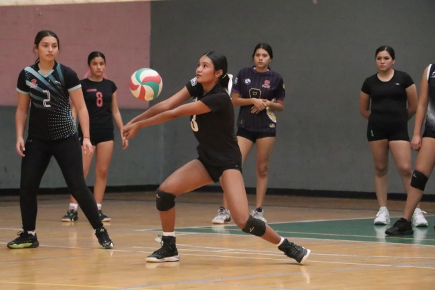 Más de 100 deportistas buscan su boleto rumbo a la Olimpiada Nacional 2026: Cecufid 